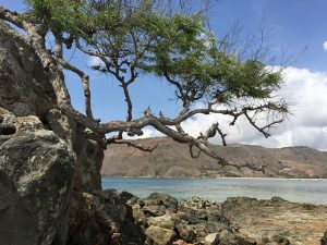 Read more about the article Destinasi Snorkeling dengan Pemandangna Langit Malam yang Indah di Gili Trawangan